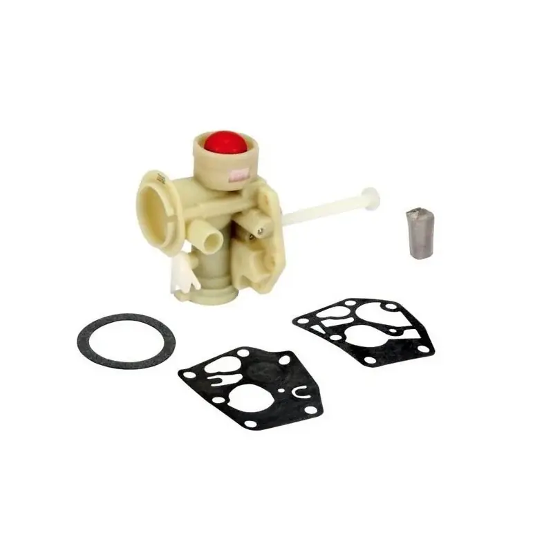 Satisfait Ou Remboursé Carburateur BRIGGS et STRATTON 798758