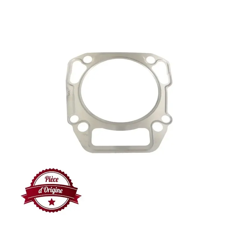 Joint de culasse BRIGGS ET STRATTON 710539 Quantité Limitée