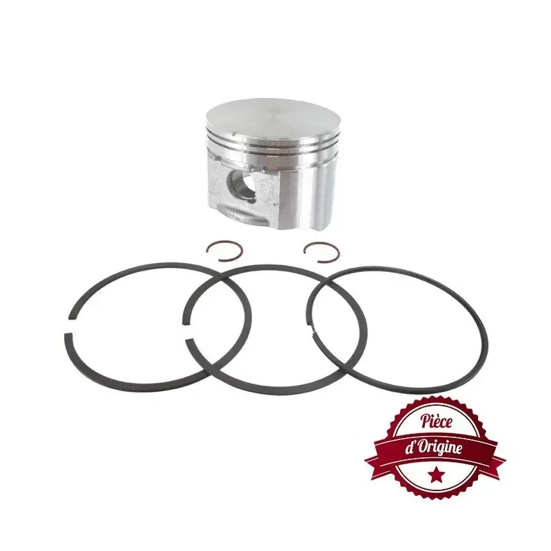 Piston BRIGGS ET STRATTON 696399 Vente Directe