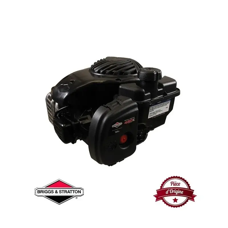 Moteur complet BRIGGS ET STRATTON 131cc OHV 450E Acheter En Ligne