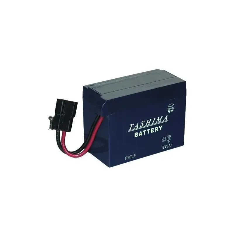 Batterie FBT19 pour modèles TECUMSEH Retour Gratuit