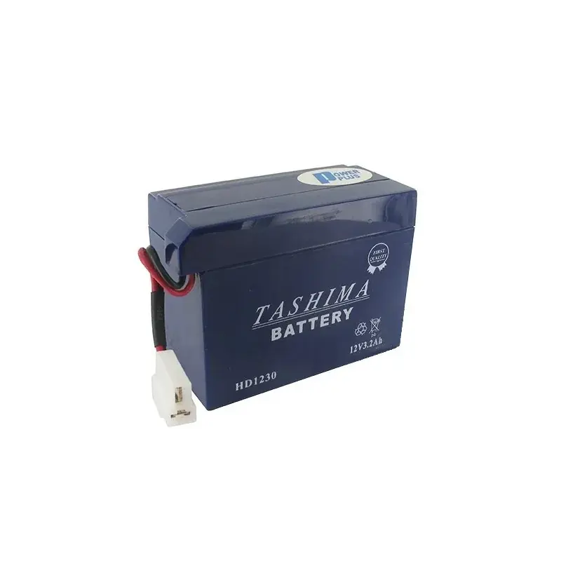 Certifié Batterie HD1230 connexion spéciale pour HONDA