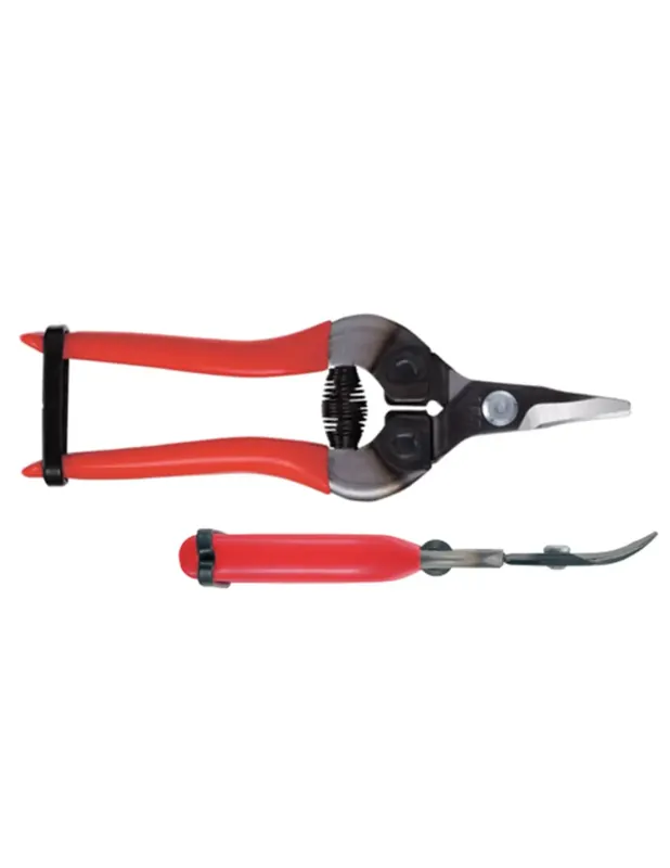 Acheter Direct Sécateur à fruit 16cm, incurvée, rouge