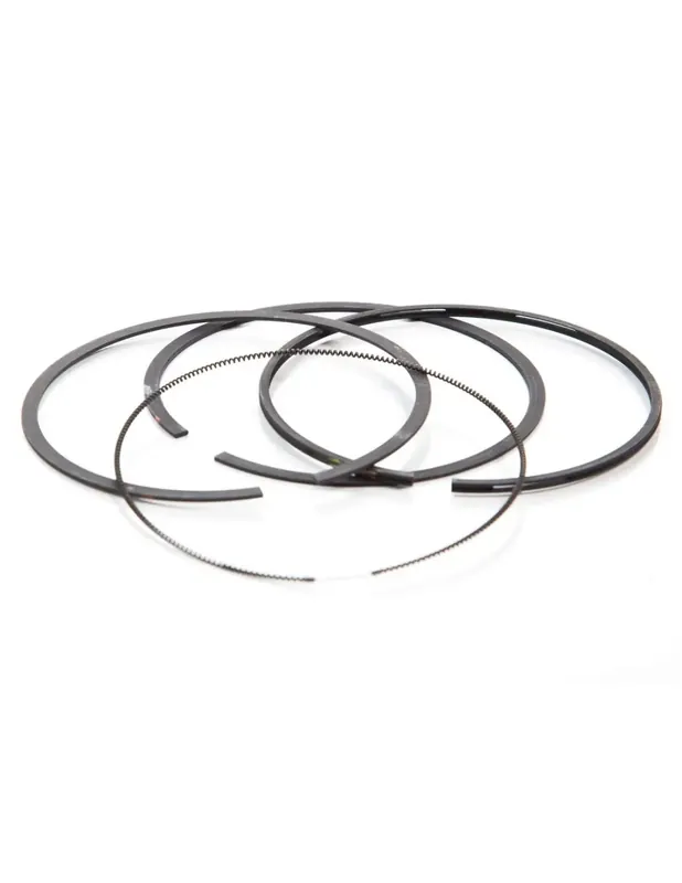 Meilleur Choix Segments Briggs & Stratton 594437 – 699026 – 791936 – 699051