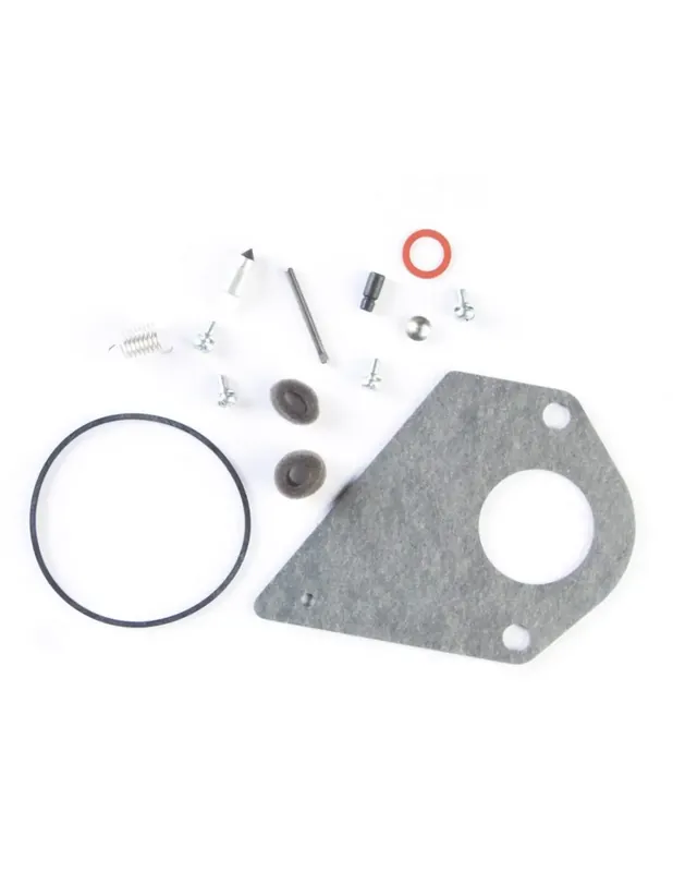 Pochette joint carburateur Briggs & Stratton modèle Nikki 694930 Authentique
