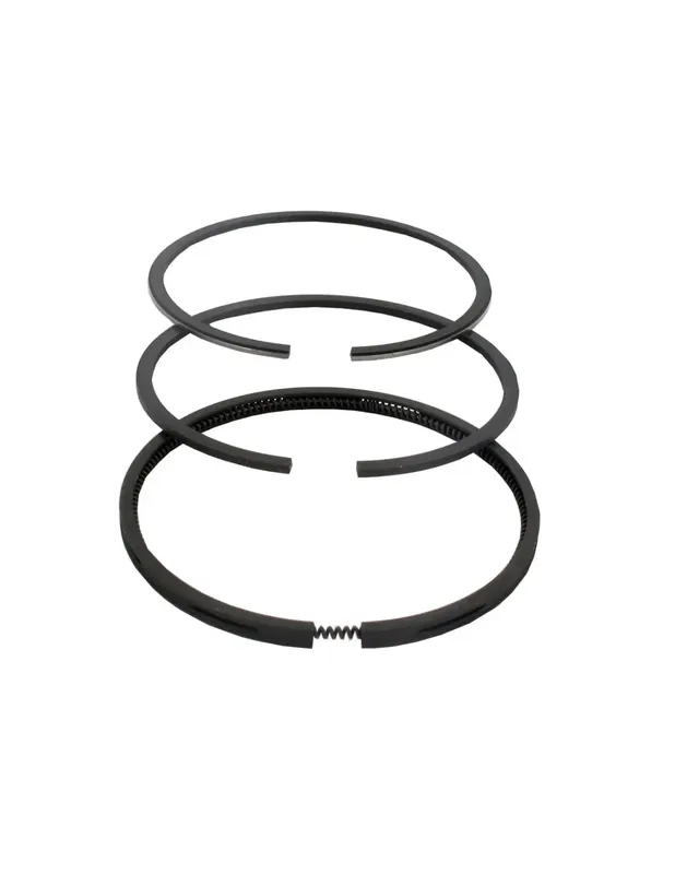 Segments pour Briggs & Stratton 696403 Modèle 28 Achat Immédiat