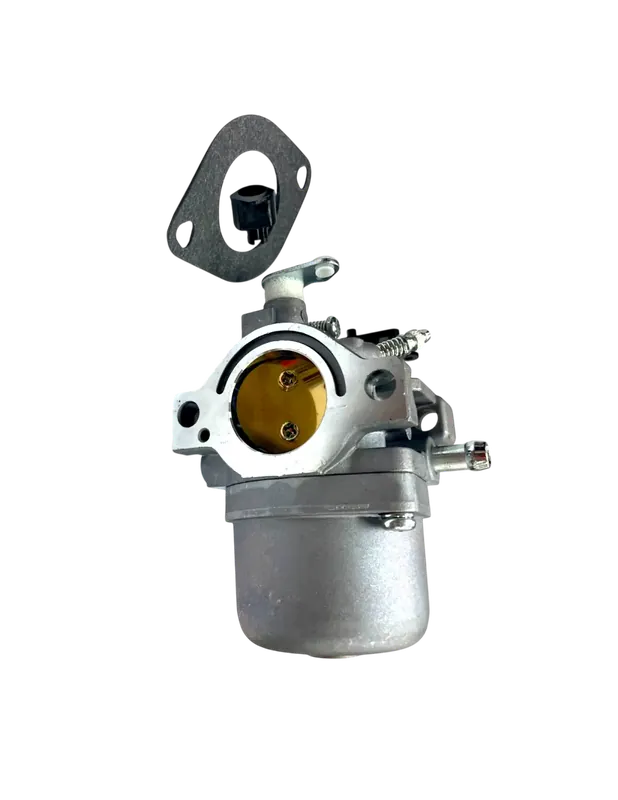 Carburateur pour moteur Briggs & Stratton 498027, 799728, 498231, 499 Meilleur Choix