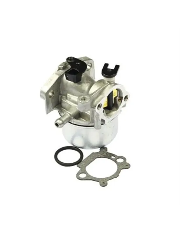 Carburateur pour Briggs & Stratton 799866 – 799871 -790845 Meilleur Choix