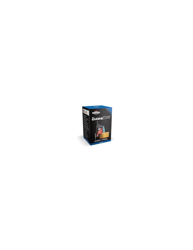Kit entretien moteur Briggs & Stratton Moteur DOV 992204 Acheter En Ligne
