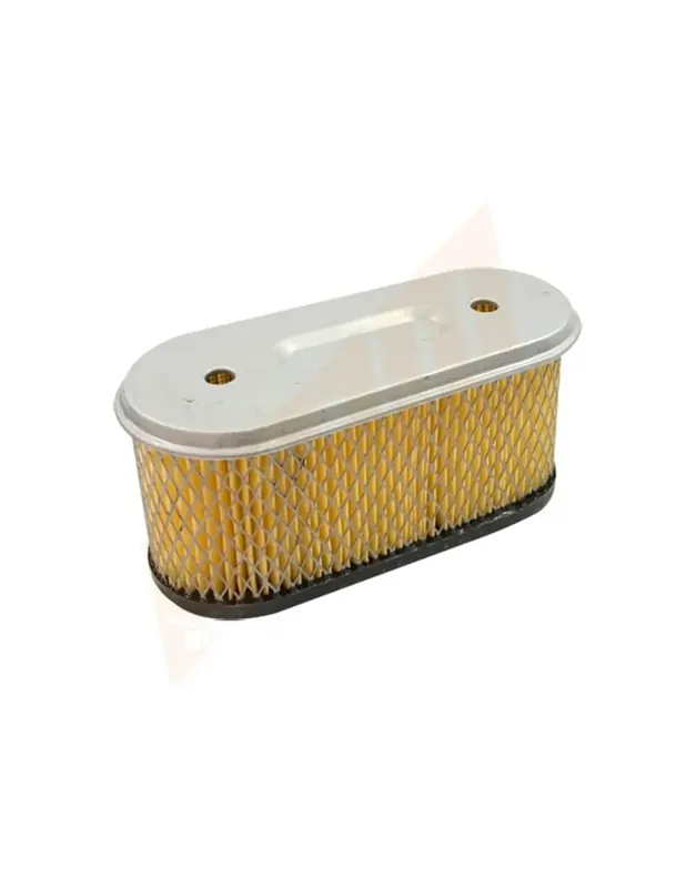 Filtre à air pour Briggs & Stratton 491021 Offre Exclusive