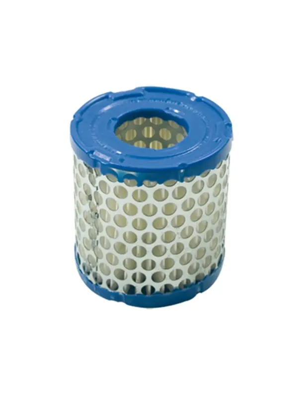 Offre Du Jour Filtre à air pour BRIGGS & STRATTON 392308