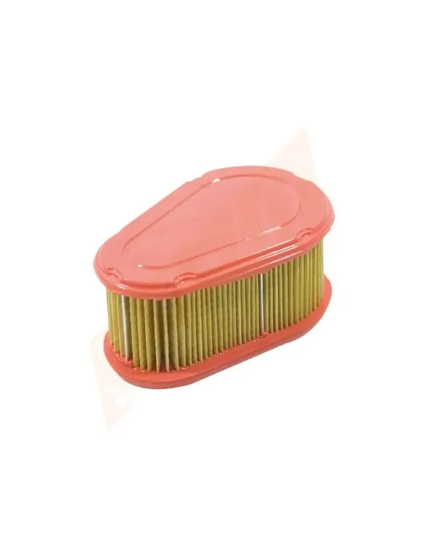 Prix Bas Filtre à air pour BRIGGS & STRATTON 790388 , 792038
