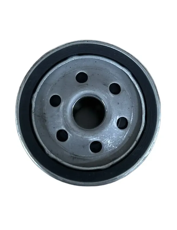 Haute Qualité Filtre à huile pour BRIGGS & STRATTON référence 491056 – KOLHER 5205002