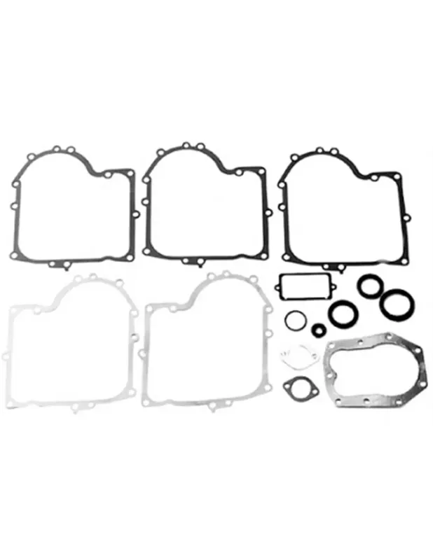 Kit joint Briggs & Stratton 494241, 490525 Achat Immédiat