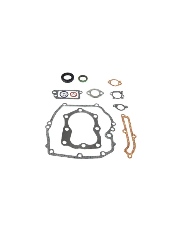 Kit joints pour Briggs & Stratton 496117, 493263 Prix Réduit