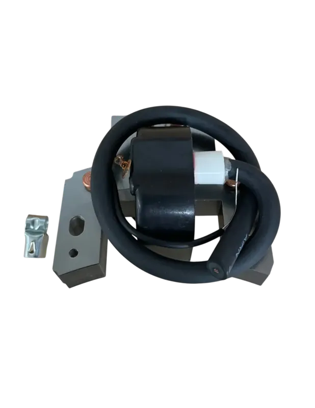 Bobine d‘allumage pour Briggs & Stratton 298316 – 395490 Retour Gratuit