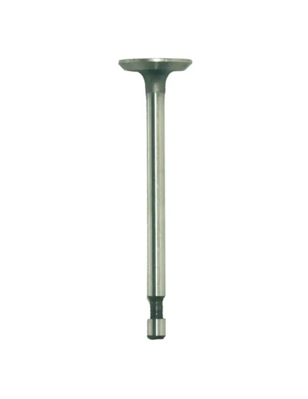 Nouveauté Soupape admission Briggs & Stratton 296677