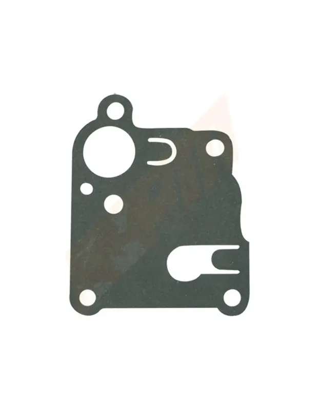 Prix Promo Membrane pour BRIGGS & STRATTON 270253