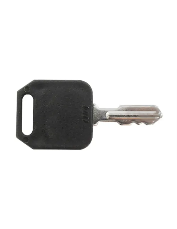 Offre Spéciale Clé de démarrage AYP-Roper 140401