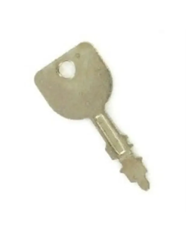 Achetez Aujourd&rsquo;hui Clé de démarrage pour contacteur PM01300 Ref. MTD 725-1744A