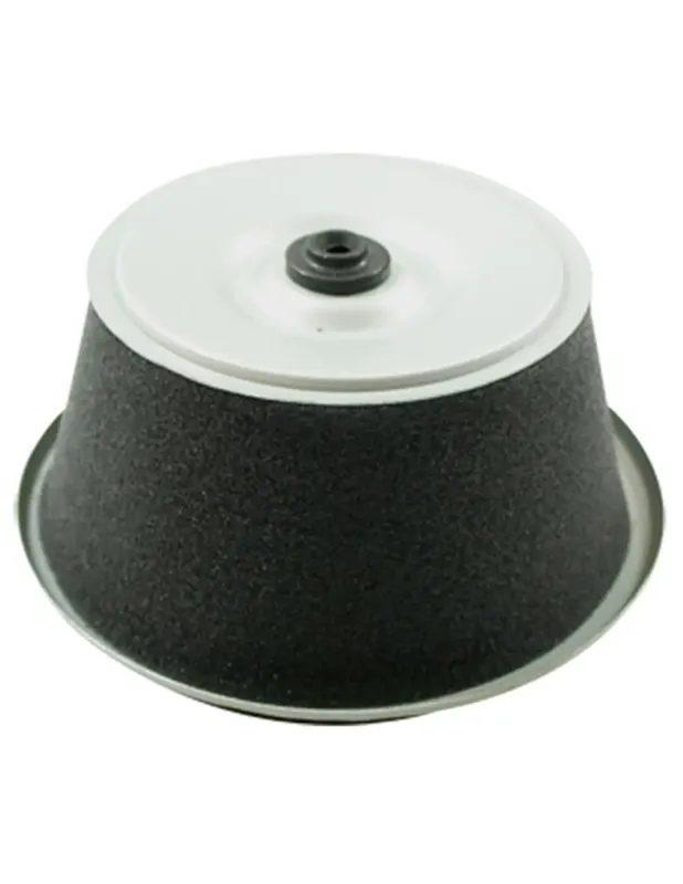 Filtre à air Honda 17211890505, 17211890023 Bon Plan