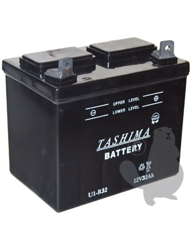 Offre Du Jour Batterie plomb pour tondeuse autoportée 12V, 32 ampères