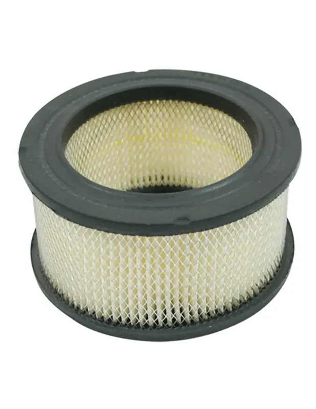Filtre à air pour TECUMSEH 31925 Prix Choc