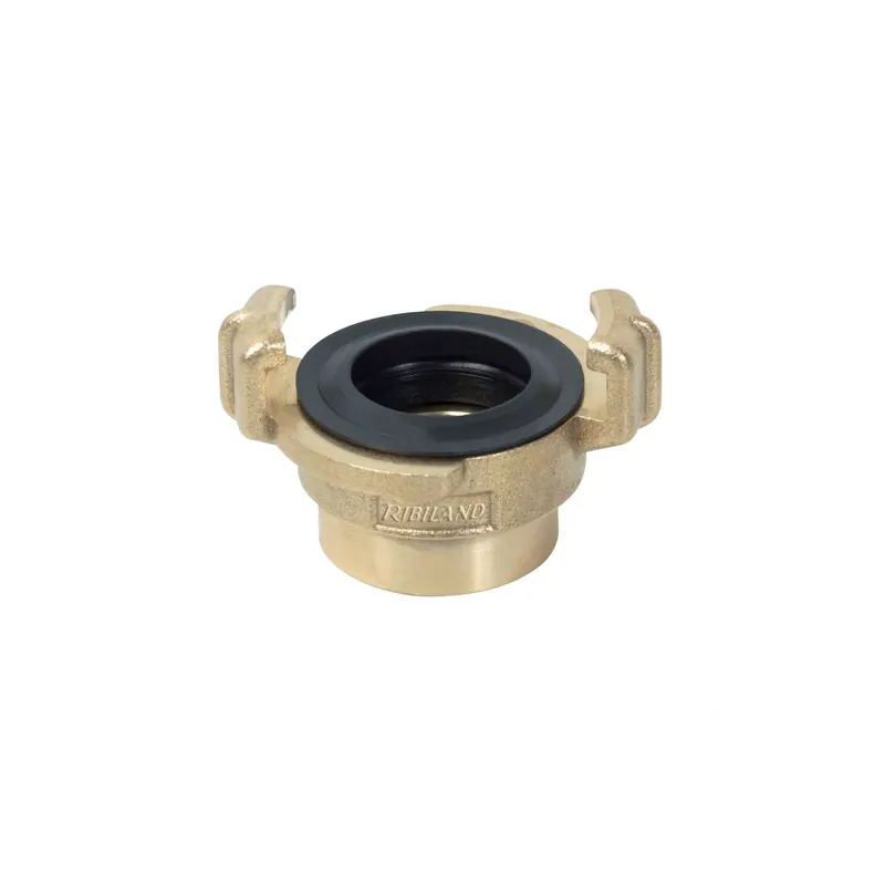 Vente Directe Ribimex – Raccord Express fileté femelle avec joint 25MM – DN25/1
