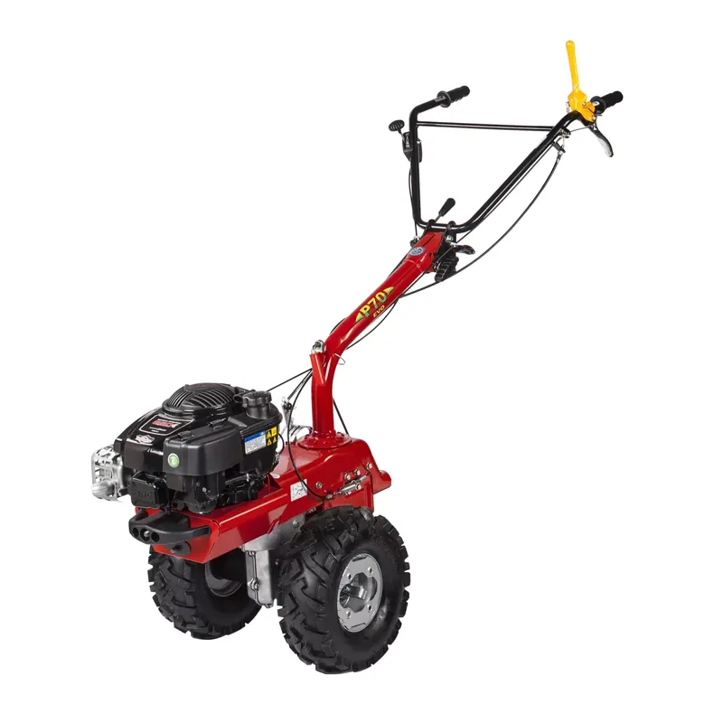 Petit Prix Eurosystems P70 (Loncin) - Cellule porte-outils