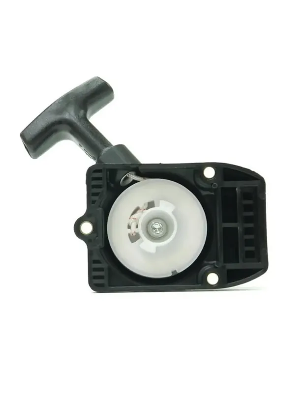 Achetez Aujourd&rsquo;hui Lanceur pour Stihl BR400, BR420, BR320, BR340, BR380 – 42031900405