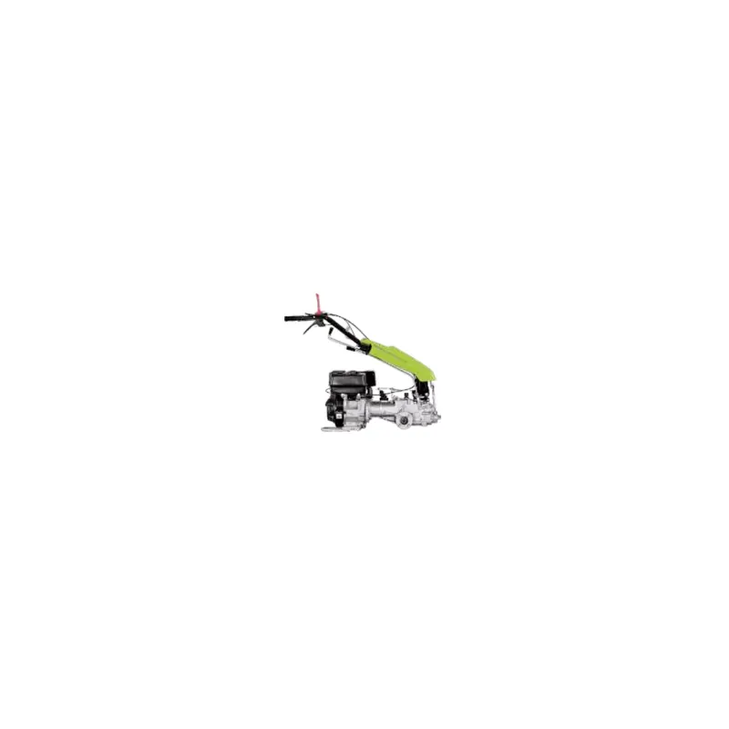 Expédition Rapide Grillo GF3 (Loncin GR300) – Cellule moteur