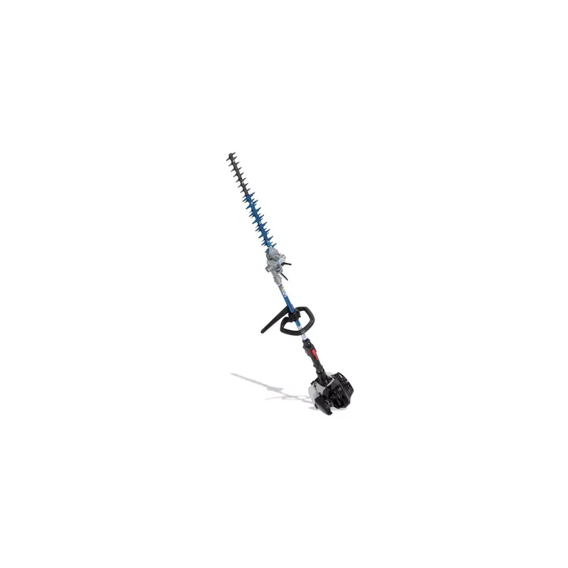 Populaire Iseki IPHT27L240N - Taille-haies sur perche