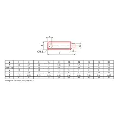 Vis métaux sans-tête hexagonale creuse bout téton brut DIN 915 6X10 BTE200 – ULTIMA – STHCTET6X10 Usine Directe