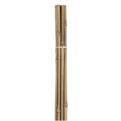 Lot de 10 tuteurs en bambou H90cm x D8/10 – 16566 Commander Vite