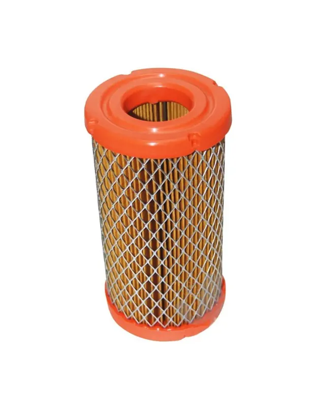 Filtre à air pour BRIGGS & STRATTON 793569 Bon Marché
