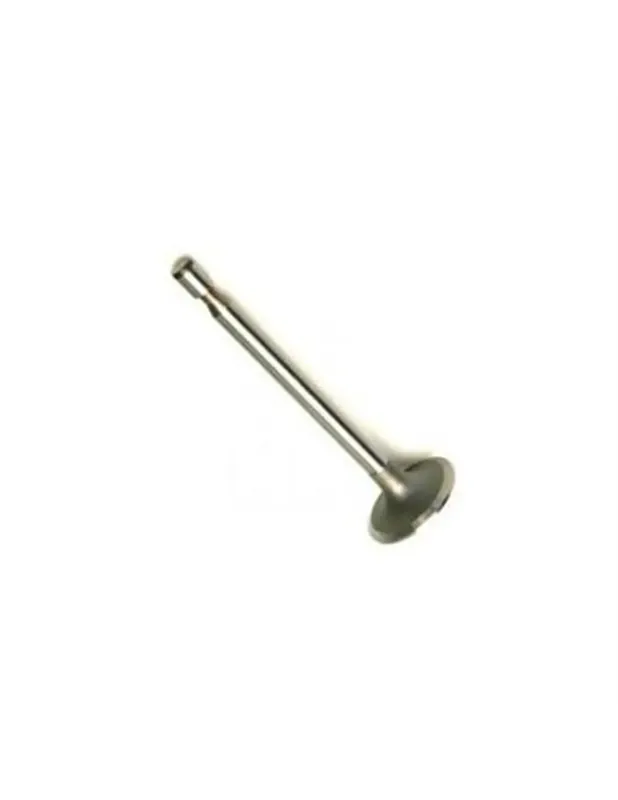 Soupape Echappement Briggs & Stratton 262246 Usine Directe