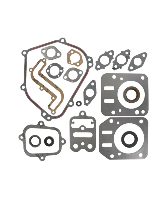 Pochette de joints Briggs & Stratton 791797 pour moteur série 126300 Nouvelle Collection