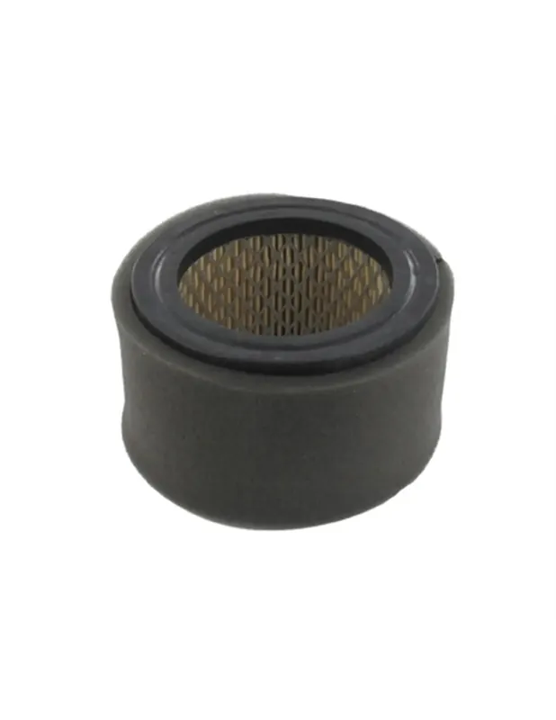 Nouvel Arrivage Filtre à air Kubota T120, T250, T320, T350, 5 CV - 13907-11210