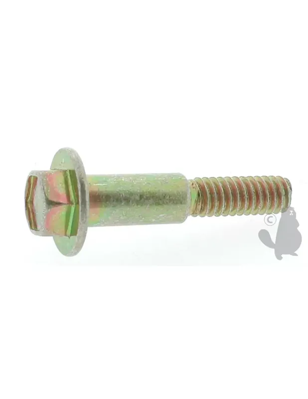 Vis pour démarreur Tecumseh 37425 Ref. PM00650 Commander Maintenant