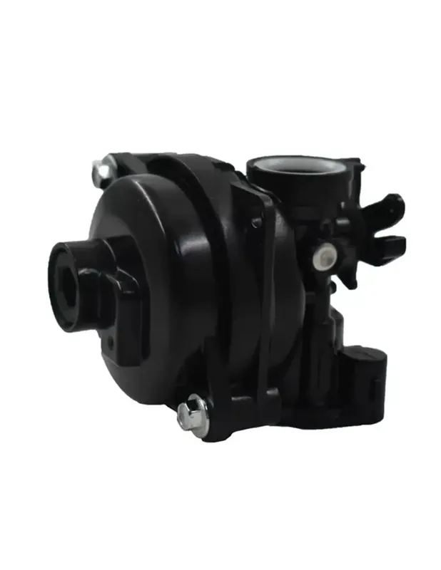 Carburateur d‘origine Briggs&Stratton BS590556 BS-590556 Bon Marché