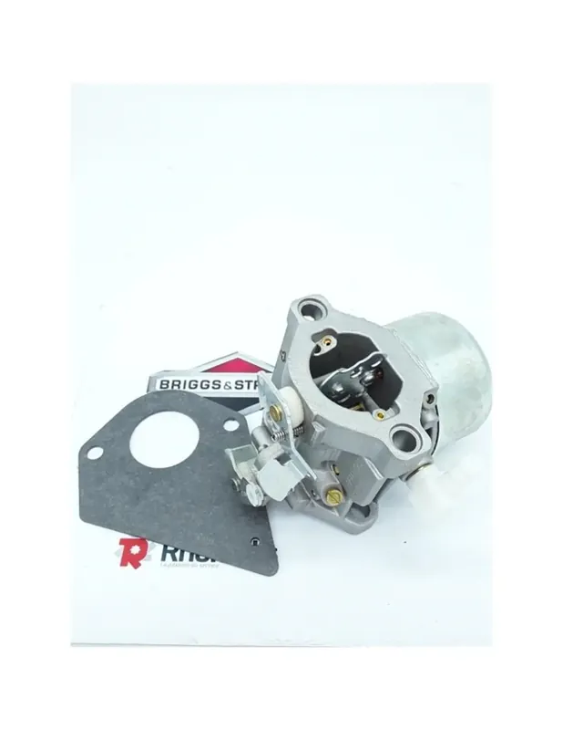 Carburateur complet EX.495780 696461 BS692684 pièce d‘origine Expédition Rapide