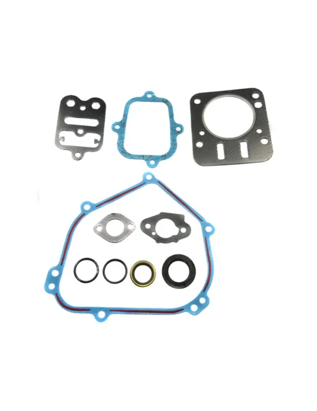 Kit joints Briggs & Stratton 798540 Expédition Rapide