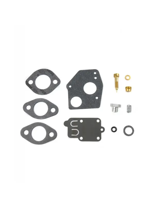 Kit révision carburateur Briggs & Stratton Pulsa Jet Acheter En Ligne
