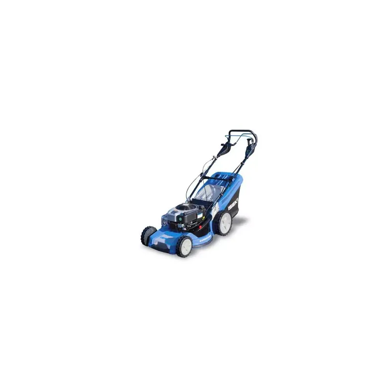 Iseki SWE5210VS4 – Tondeuse Petit Prix