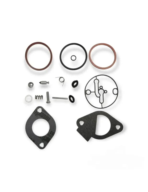 Kit Briggs & Stratton 698787, 790032, 796184, 699521 pour carburateur Quantité Limitée