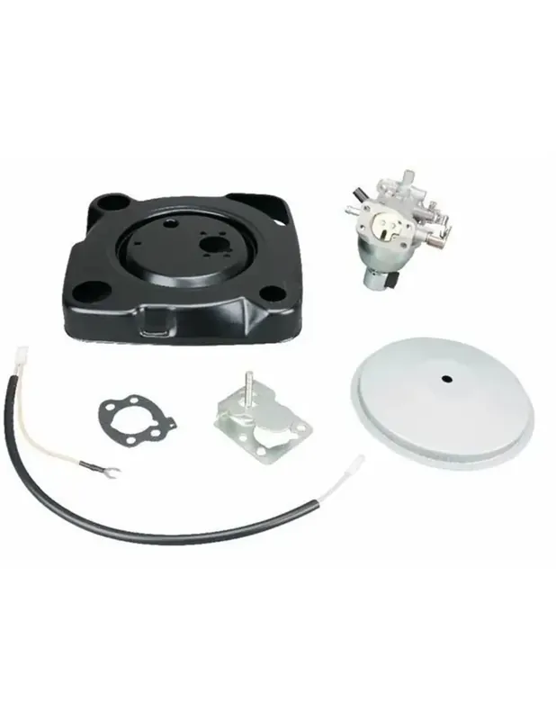 Carburateur complet pour moteur VANGUARD 305777 (EX 846108 / 808728) Must-Have