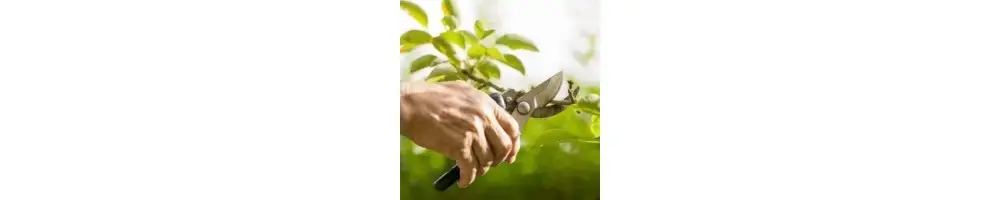 Achat Immédiat Outils à mains