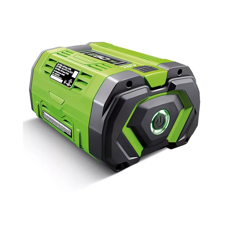 Acheter Direct EGO – Pack de 12 batteries BA5600T 10.0Ah