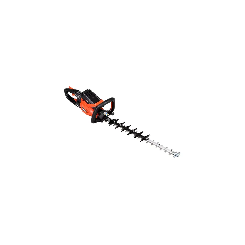 Meilleure Vente Echo DHC-2200R/C1 - Pack Taille haies à batterie