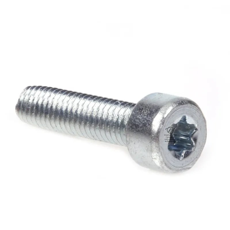 Vis Torx 27 M5 x 20 pour tronçonneuse Stihl 040 041 Paiement Sécurisé
